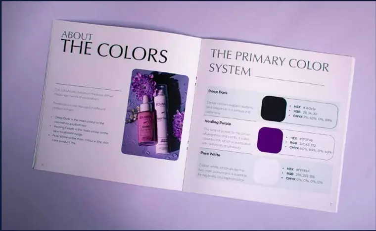 Brand guideline — primary colour system